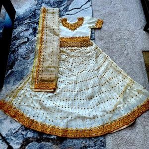 Lengha Choli Desi Indian Pakistani